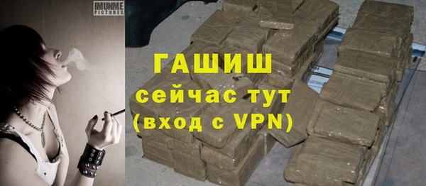 хмурый Снежногорск