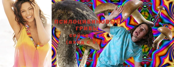 дурь Абинск
