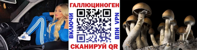 где продают   Егорьевск  Псилоцибиновые грибы ЛСД 