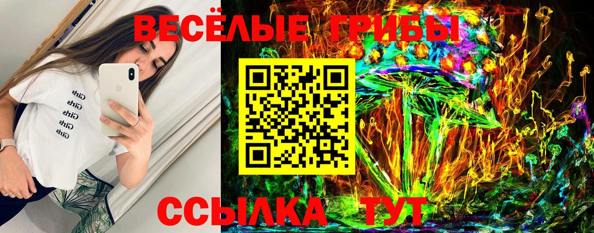 Галлюциногенные грибы мухоморы Егорьевск
